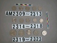 藏品(泰國1銖硬幣)的圖片